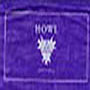 Pathpoesia Prayer Flag Project