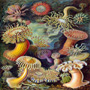 Ecology